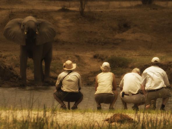 Zambezi Life Styles - Activities 3